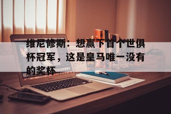 杏彩体育平台-关于维尼修斯：想赢下首个世俱杯冠军，这是皇马唯一没有的奖杯的信息