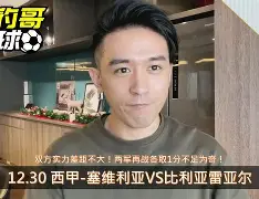 杏彩体育-比利亚雷亚尔主席：欧冠决赛是你们的